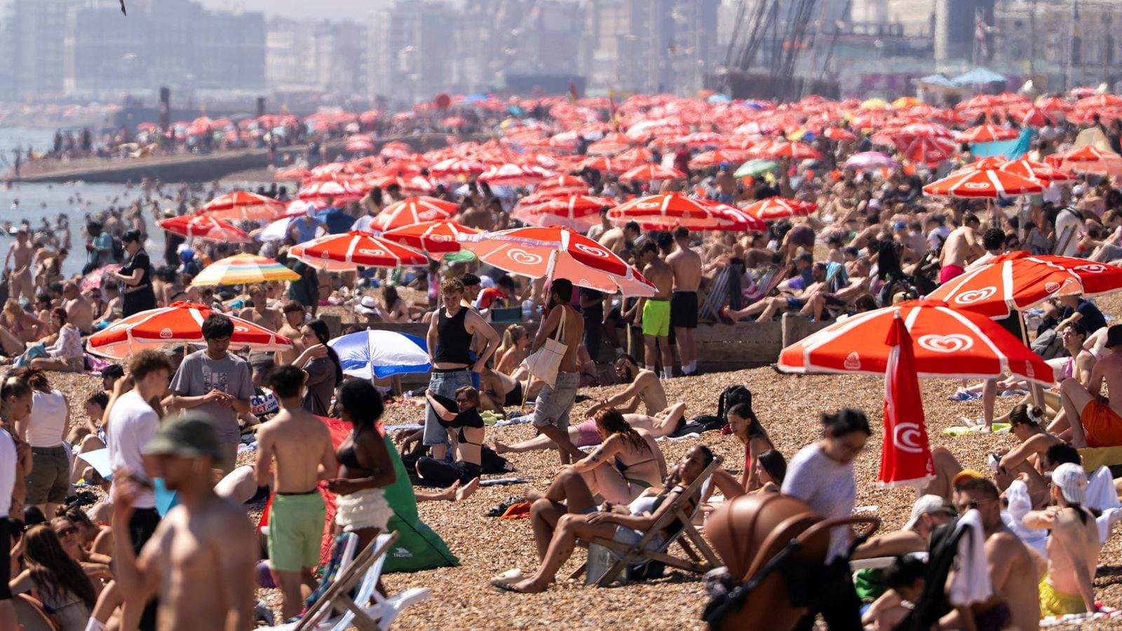 Heatwave live: Temperatures could 'maybe' hit 36C today, forecaster says