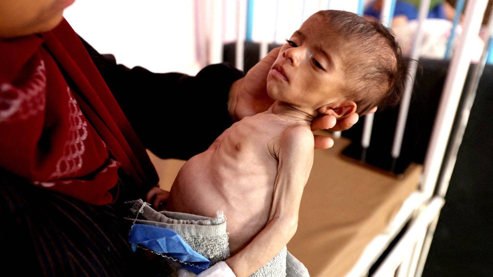 Bob Geldof accuses Israeli authorities of 'lying' about starvation in Gaza